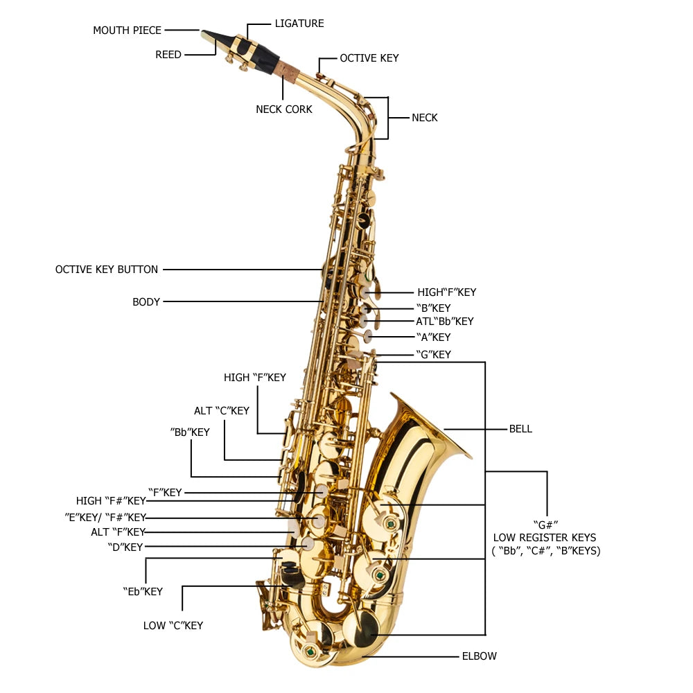 Eb Alto Saxophone – Brass Lacquer Finish with Full Accessory Kit